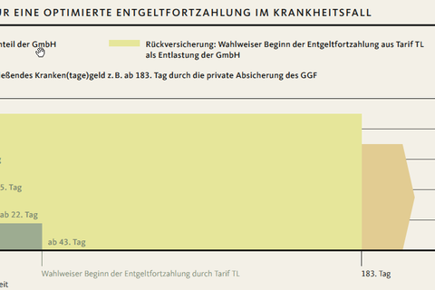Geschäftsführer - leitende Angestellte